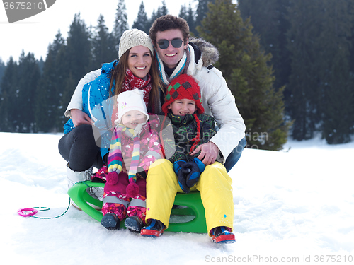 Image of winter family