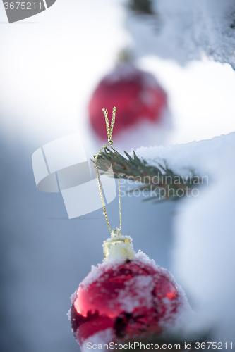 Image of christmas balls on pine tree