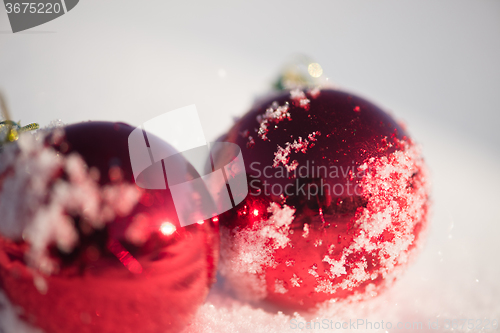 Image of red christmas ball in fresh snow