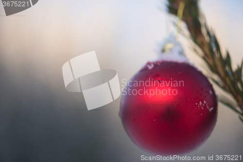 Image of christmas balls on pine tree