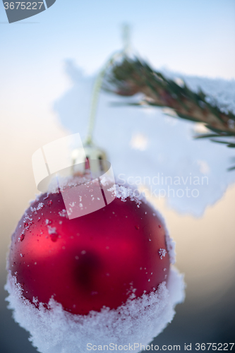 Image of christmas balls on pine tree