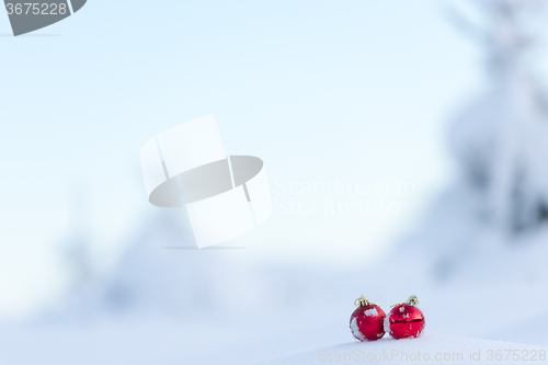 Image of red christmas balls in fresh snow