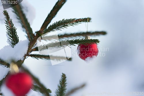 Image of christmas balls on pine tree