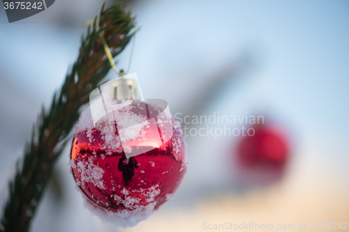 Image of christmas balls on pine tree