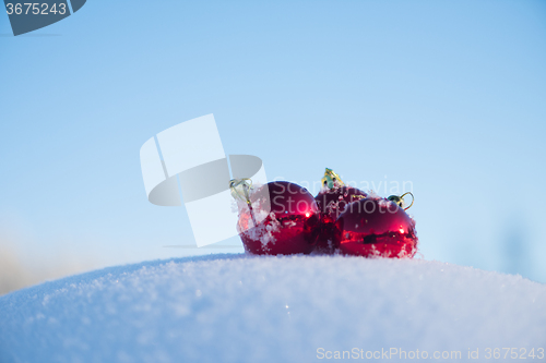 Image of red christmas ball in fresh snow