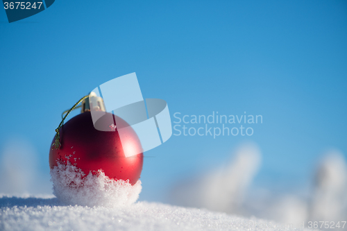 Image of red christmas ball in fresh snow