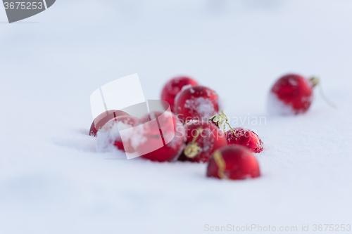 Image of red christmas balls in fresh snow