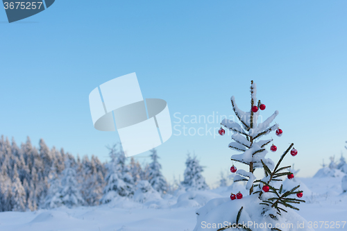 Image of christmas balls on pine tree