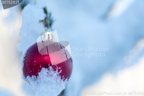 Image of christmas balls on pine tree