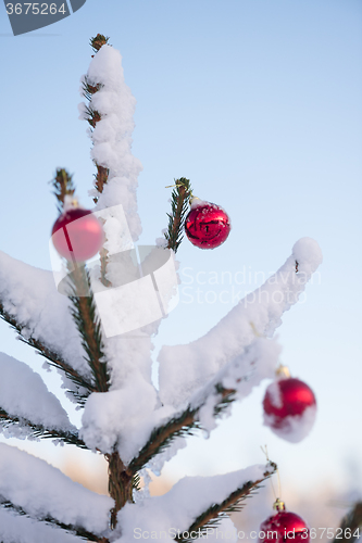 Image of christmas balls on pine tree