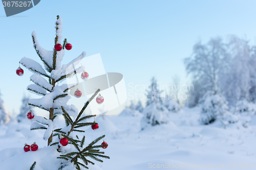 Image of christmas balls on pine tree