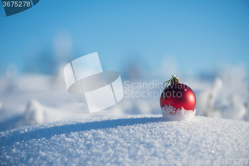 Image of red christmas ball in fresh snow