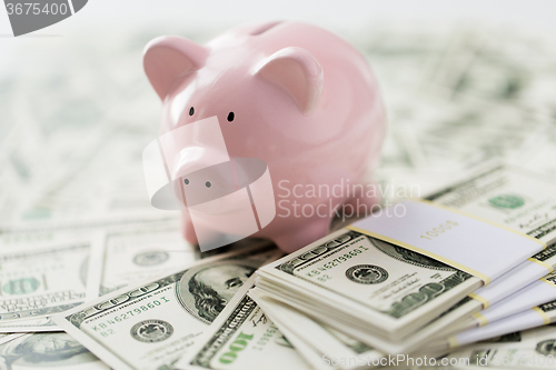 Image of close up of dollar money and pink piggy bank