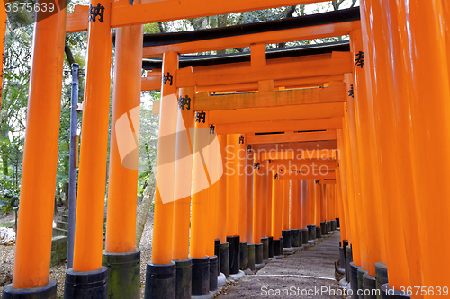 Image of Fushimi Inari Shrine Torii in kyoto Japan