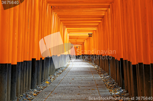 Image of Fushimi Inari Shrine Torii in kyoto Japan