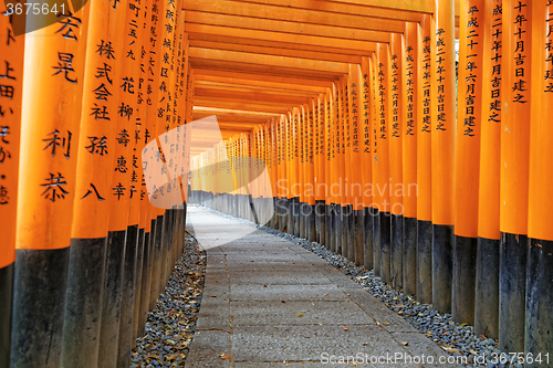 Image of Fushimi Inari Shrine Torii in kyoto Japan