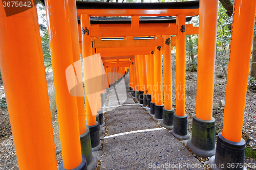 Image of Fushimi Inari Shrine Torii in kyoto Japan