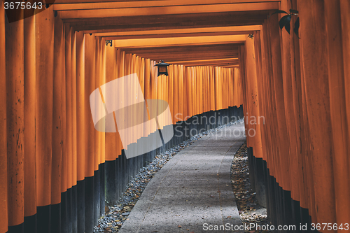 Image of Fushimi Inari Shrine Torii in kyoto Japan