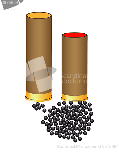 Image of hunting cartridges