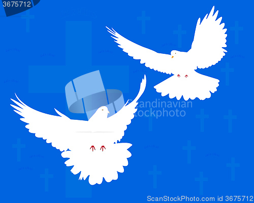 Image of two doves