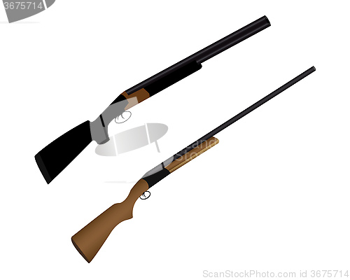 Image of two guns for hunting