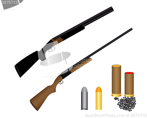 Image of two guns for hunting ammunition and shot