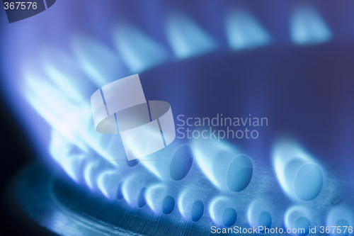 Image of Blue flames of a gas stove