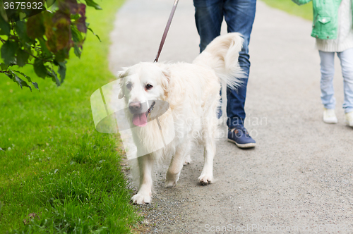 Image of close up of family with labrador dog in park