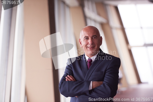 Image of senior business man portrait