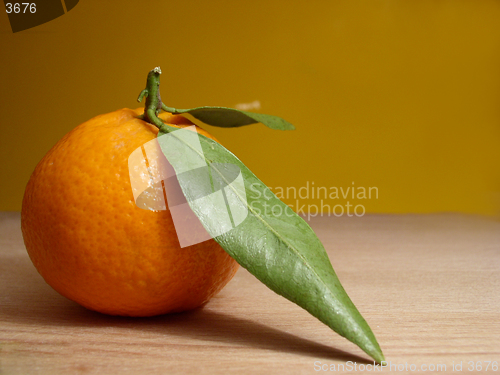 Image of tangerines and leaf