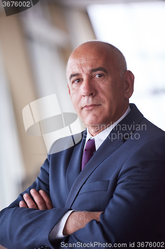 Image of senior business man portrait