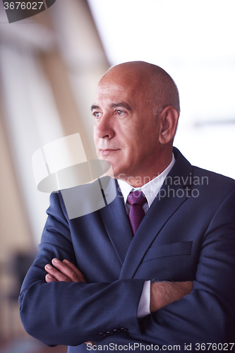 Image of senior business man portrait