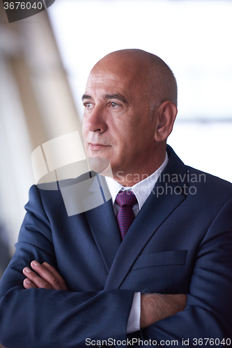 Image of senior business man portrait