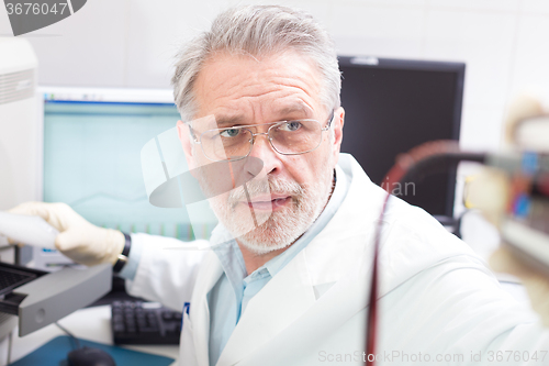 Image of Life scientist researching in the laboratory.