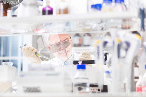 Image of Life scientist researching in the laboratory.