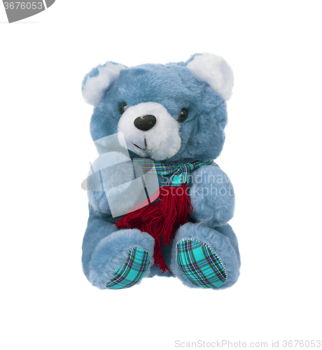 Image of Teddy bear with scarf