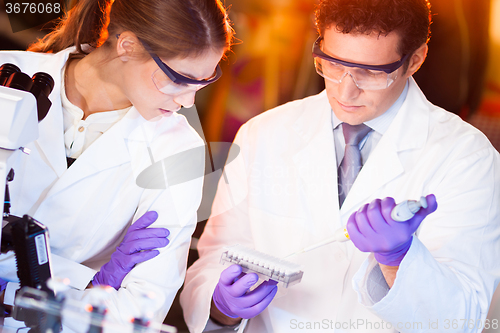 Image of Scientist pipetting.