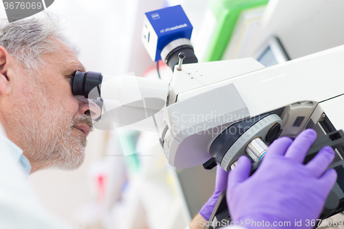 Image of Senior scientist  microscoping in lab.