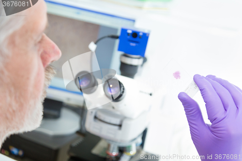 Image of Senior scientist  microscoping in lab.