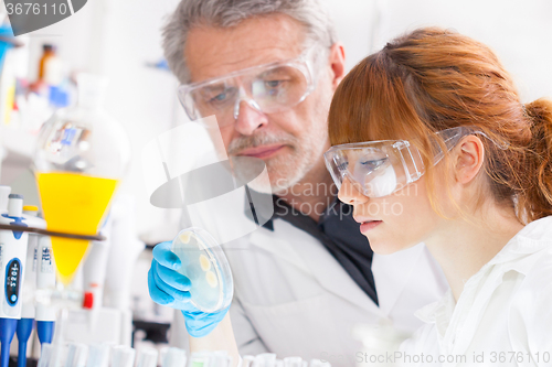 Image of Health care professionals in lab.