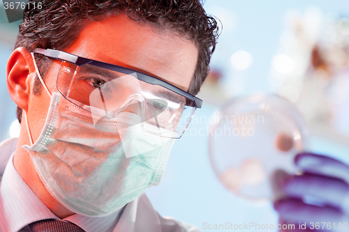 Image of Scientist observing petri dish.