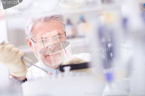 Image of Life scientist researching in the laboratory.