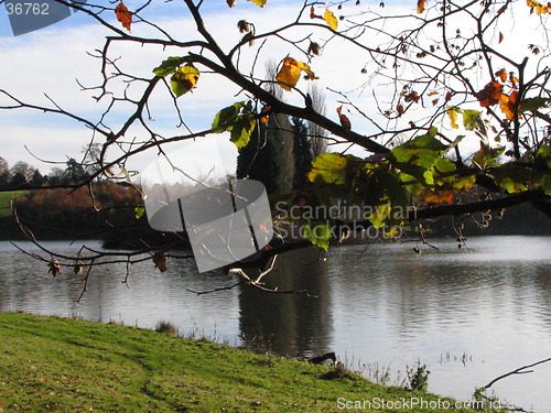 Image of Blenhim Palace Lake