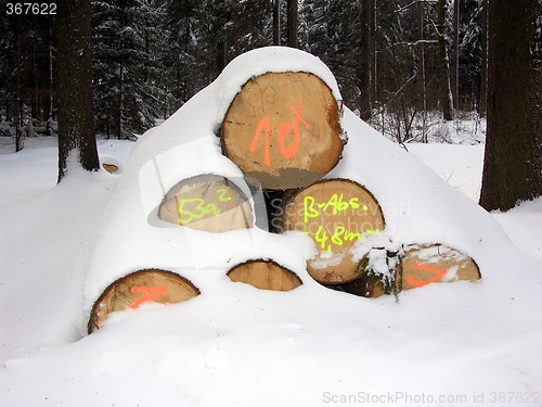 Image of Woodpile