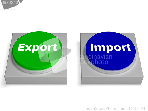 Image of Export Import Buttons Shows Exported Or Imported