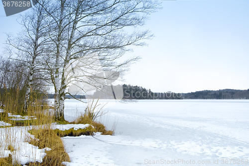 Image of winter scenery Osterseen