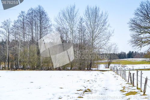 Image of winter scenery Osterseen