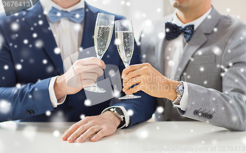 Image of close up of male gay couple with champagne glasses