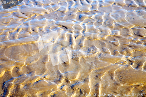 Image of dune morocco  africa  coastline wet sand  atlantic  