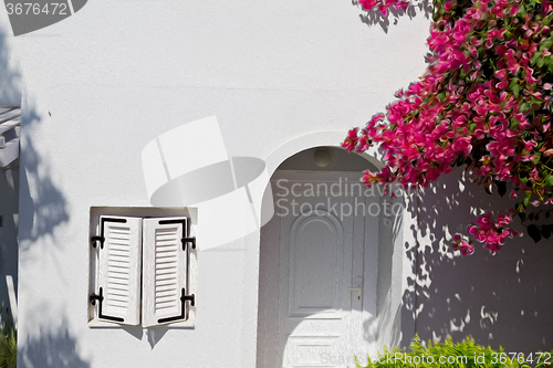 Image of  flowers  in architecture    europe cyclades santorini old town 